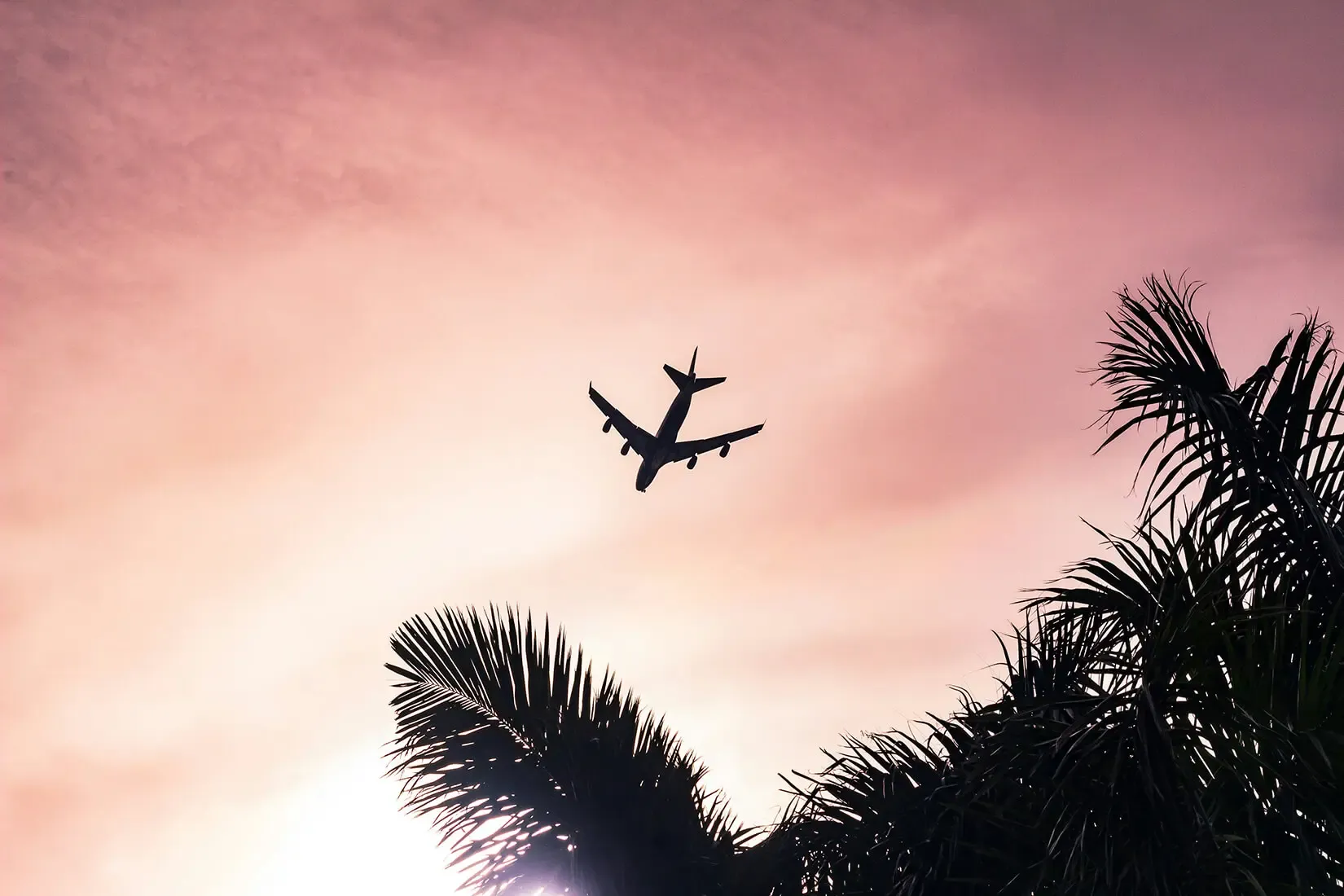Flyttkartonger märkta för utlandsflytt